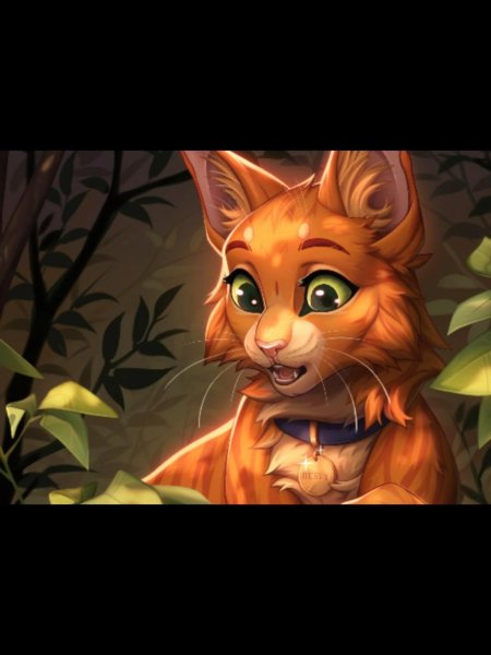 Коты воители огнезвёзд