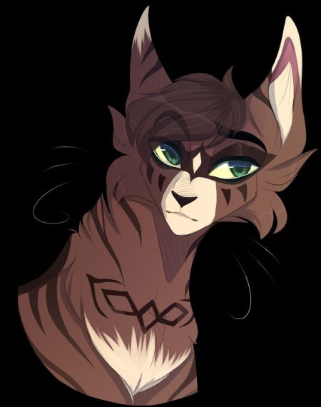 Коты воители персонажи