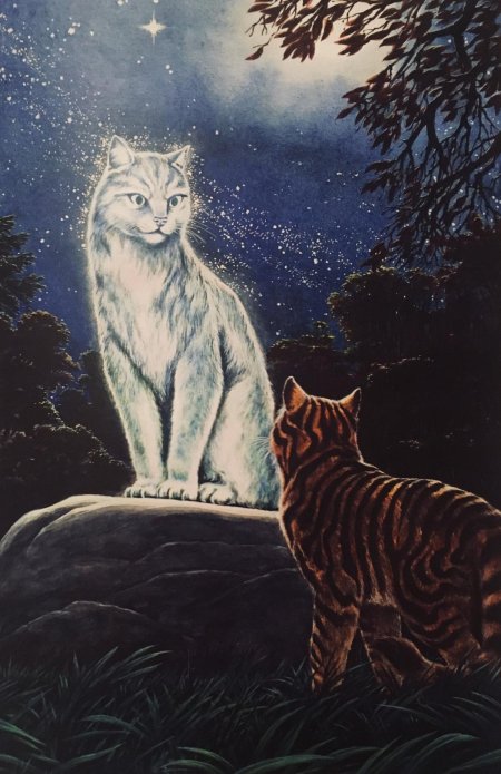 Коты воители золотая коллекция полночь восход луны