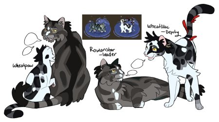 Коты воители крутобок и бич