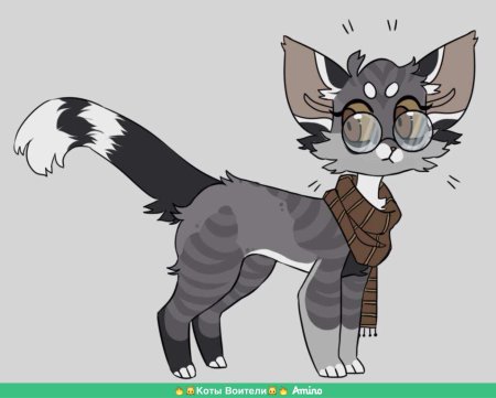 Коты воители громозвезд