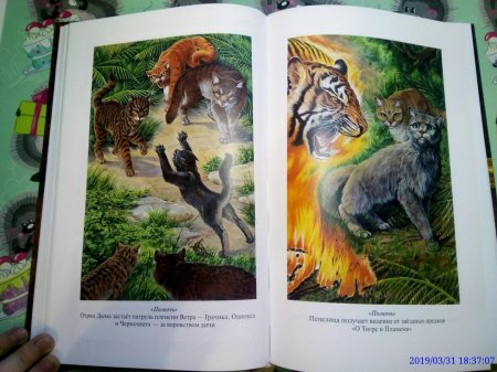 Коты воители золотая коллекция полночь восход луны