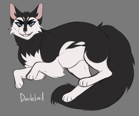 Darktail коты воители