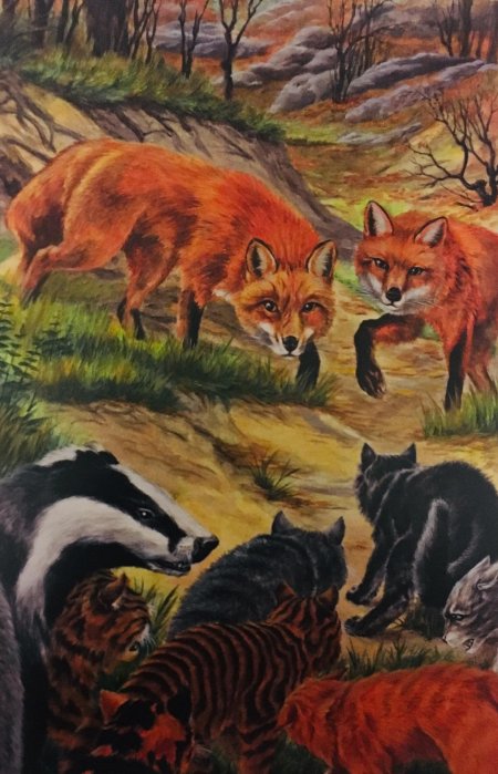 Коты воители золотая коллекция