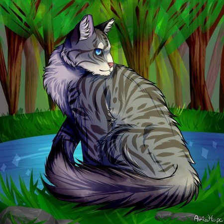 Серебрянка коты воители