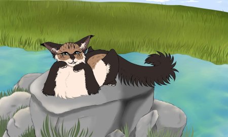 Воители коты