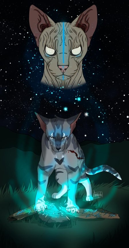 Jayfeather коты воители