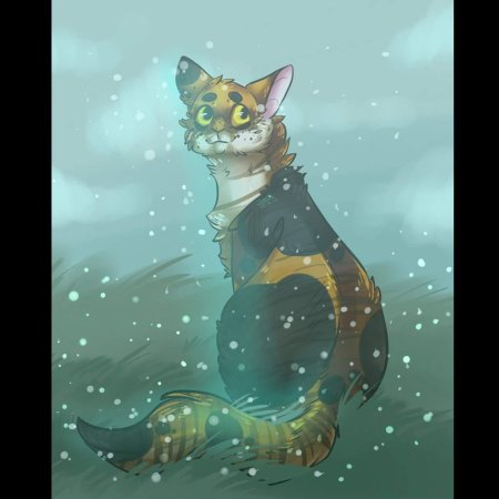 Коты воители смерть медобоки