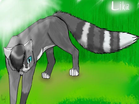 Персонажи котов воителей