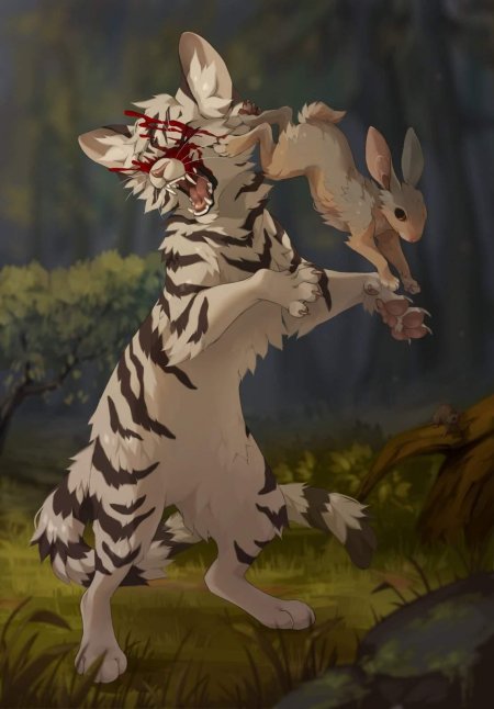 Долгохвост коты воители