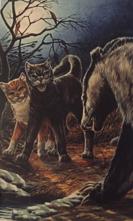 Эрин хантер коты воители золотая коллекция