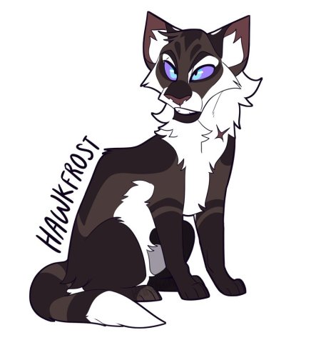 Hawkfrost коты воители