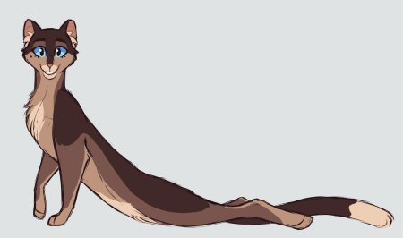 Коты воители иглогривка