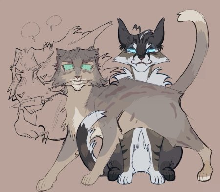 Коты воители кот