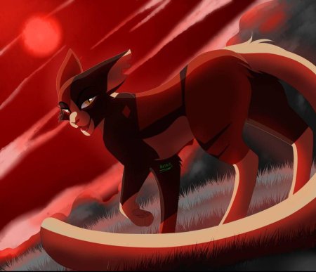 Кленовница коты воители