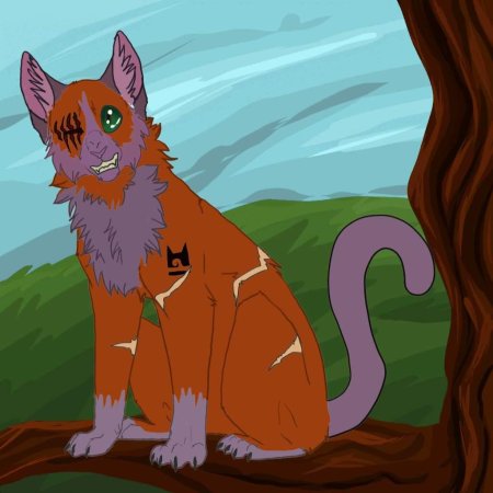 Аватар мейкер коты воители