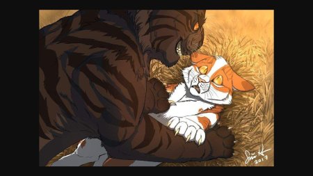 Коты воители звездоцап смерть