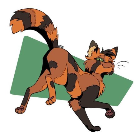 Ярохвост коты воители