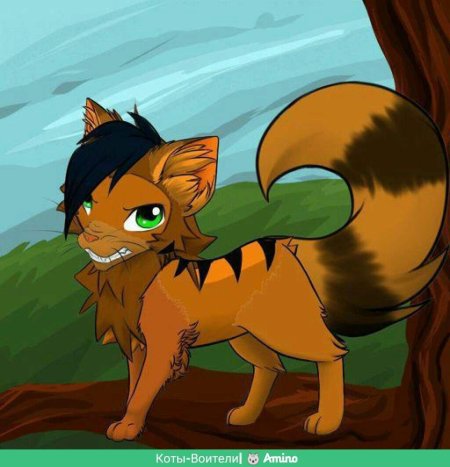 Коты воители белка