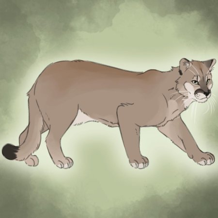 Коты воители острозуб пума