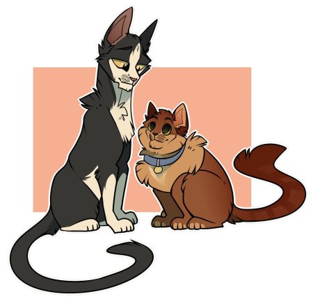 Коты воители джейк и звездный луч