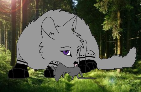 Коты воители белогривка