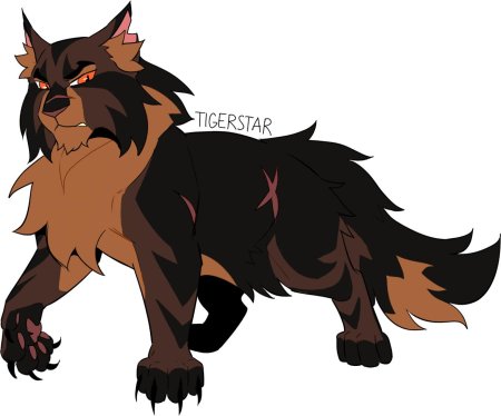 Коты воители знамение звезд