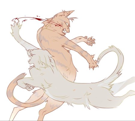 Коты воители долгохвост