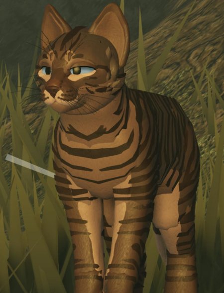 Кот воители