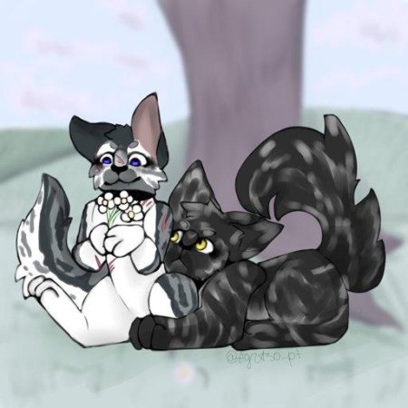 Graystripe коты воители