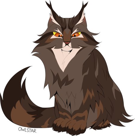 Дубо звёзд коты воители