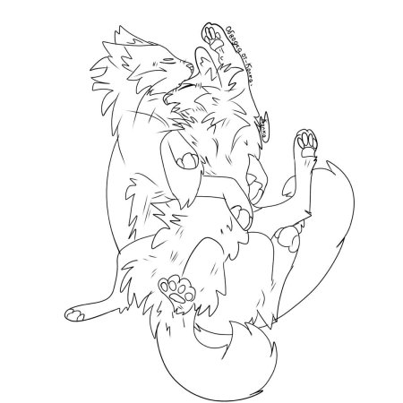 Раскраска волк