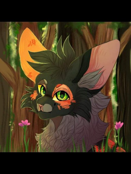 Коты воители арт амино