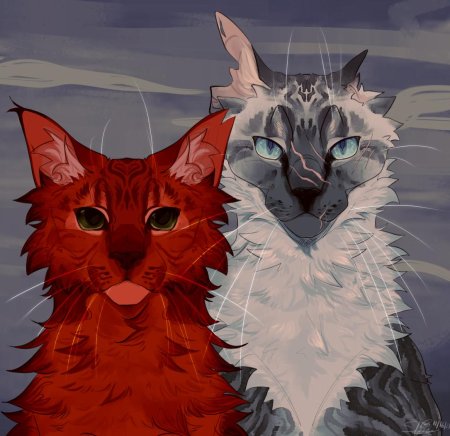 Коты воители знамение звезд