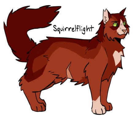 Коты воители желудь