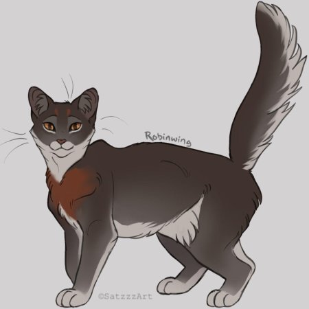 Зарянка и космач коты воители