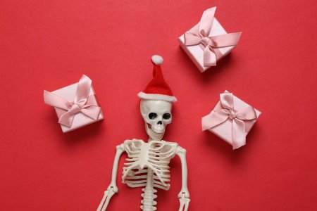 Человеческий скелет