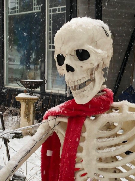 Новогодний скелет