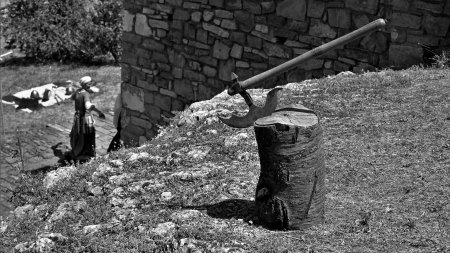 Средневековый лес