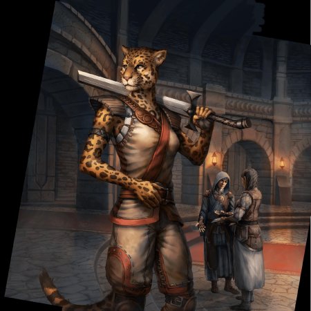 Каджиты альфики