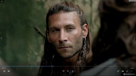 Чарльз вейн