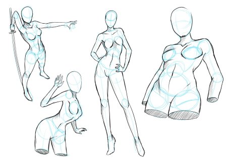 Анатомия девушки референс