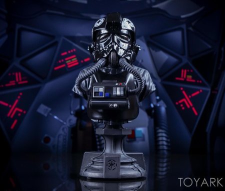 Tie fighter pilot