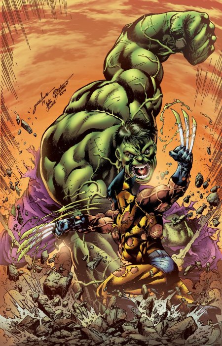 Hulk vs wolverine