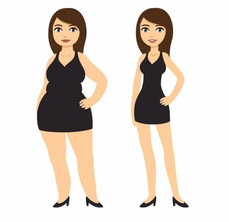 Толстая и худая девушка