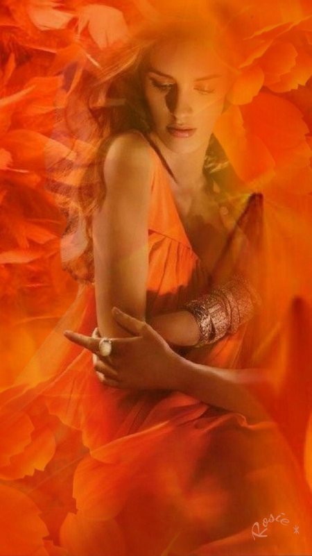 В оранжевом