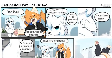 Песец фурри