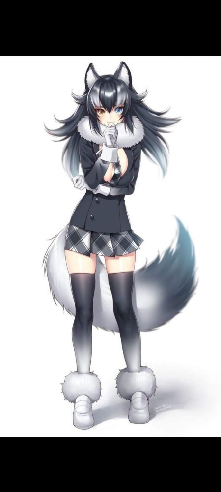 Аниме grey wolf (kemono friends)