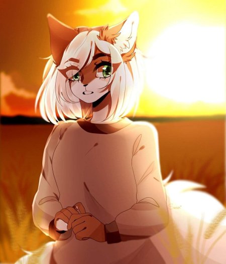 Рысь николь furry