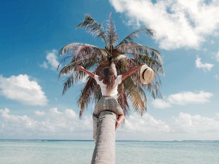 Мальдивы пальма